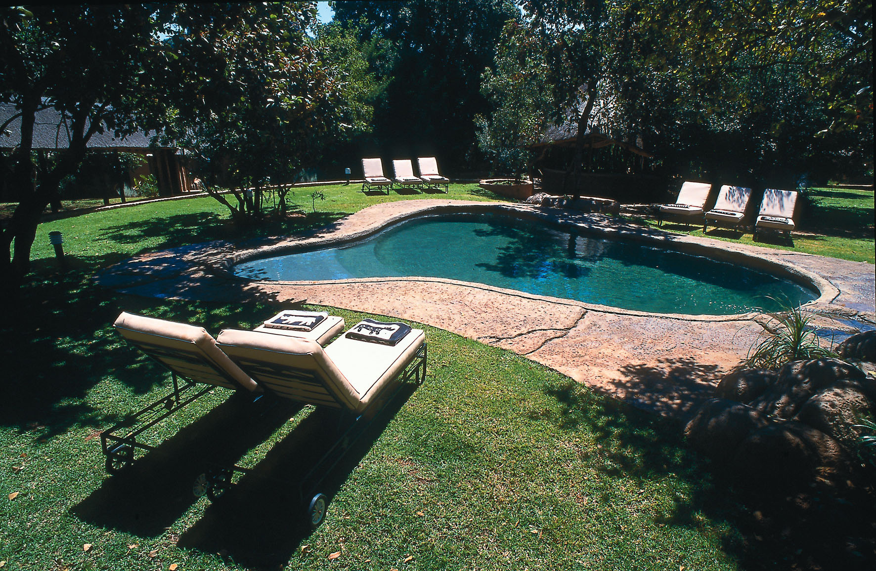 Kingfisher Pool
